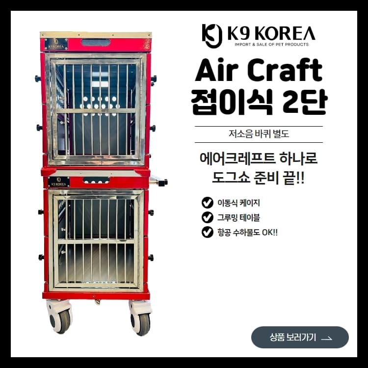 접이식 에어크래프트