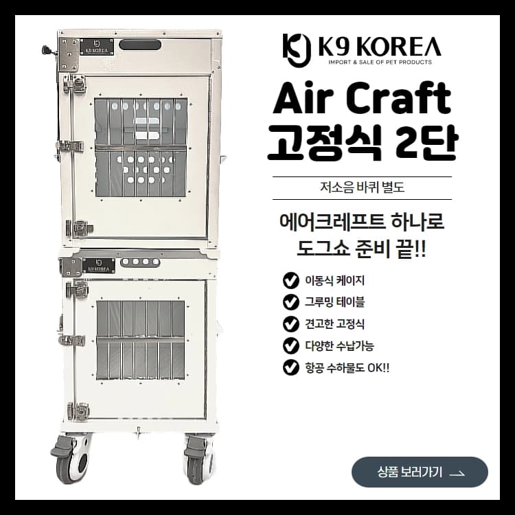 고정식 에어크래프트
